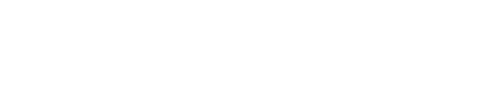 Fidly pets logotipas